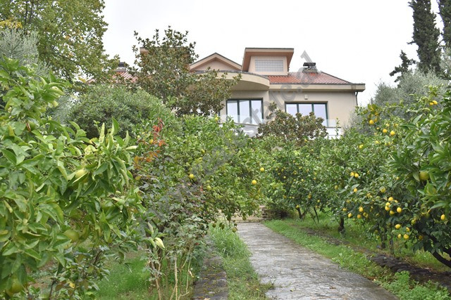 Vile moderne me qira ne zonen e Farkes ne Tirane